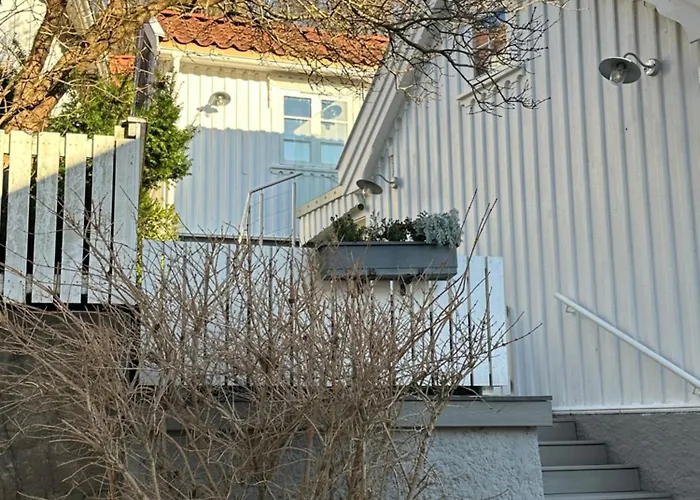 Guest house Anekset 3*